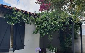 Casa Colibrí
